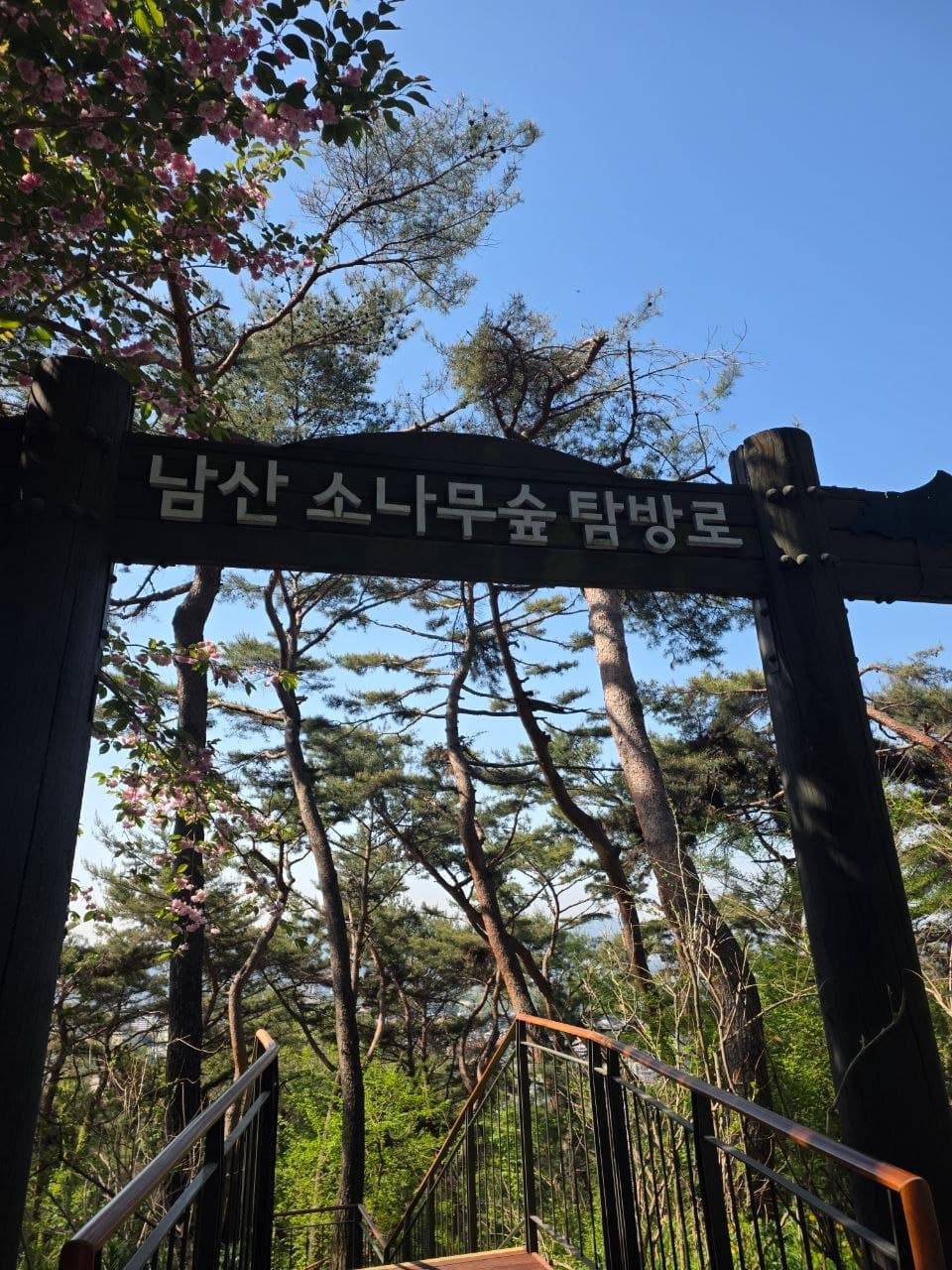 남산 소나무숲 탐방로 입구